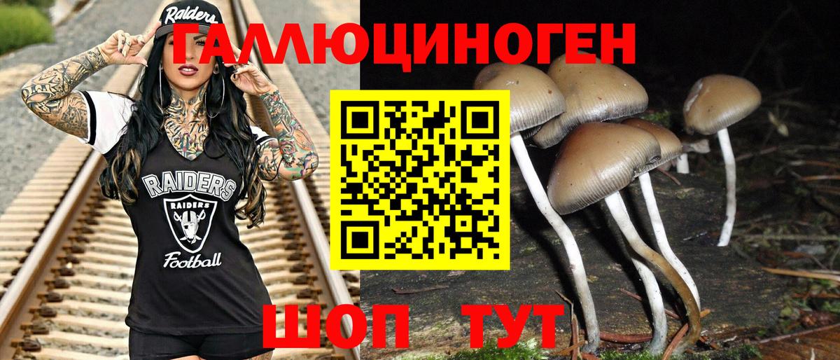 Галлюциногенные грибы MAGIC MUSHROOMS  Псилоцибиновые грибы ЛСД  Вход с VPN  Похвистнево 