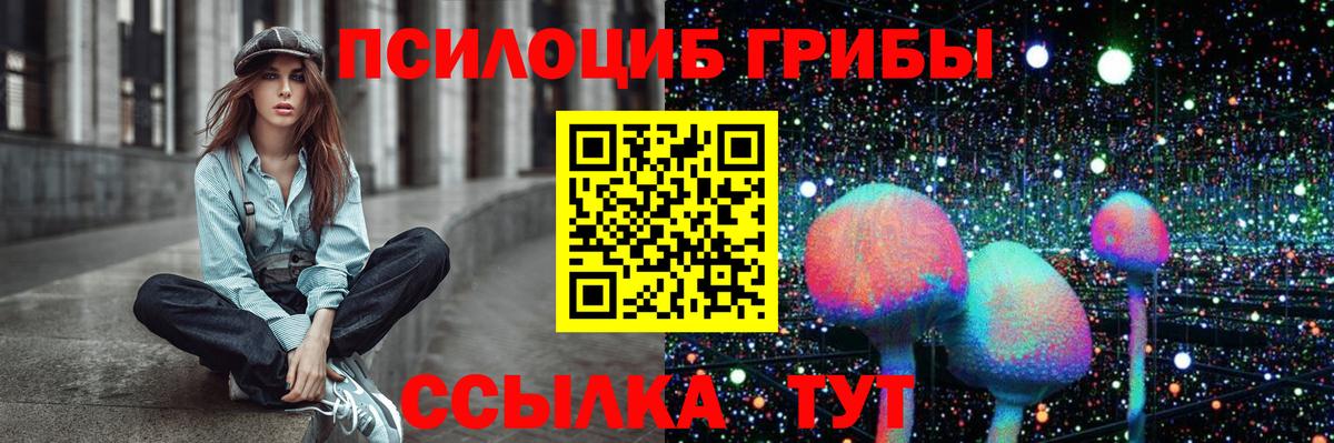 Псилоцибиновые грибы мицелий Похвистнево